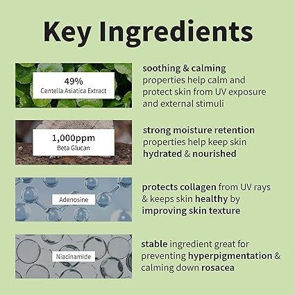 IUNIK Centella Calming Vegan Moisture SPF 50+ PA++++ Non-Sticky No White Cast Light-Weight Daily Sunscreen Reef-Safe UVA UVB Matte-Finish No-Scent 2 Oz Beta-Glucan Dry Oily Sensitive Korean Skincare - Image 4